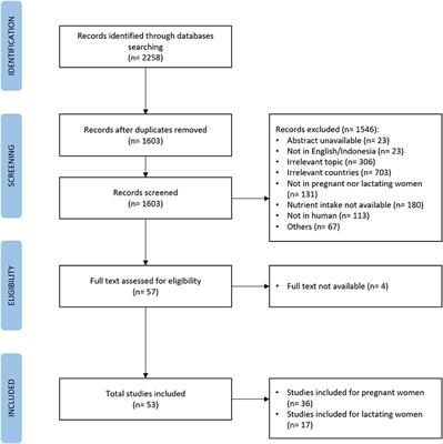 Nutrient intakes of pregnant and lactating women in Indonesia and Malaysia: Systematic review and meta-analysis